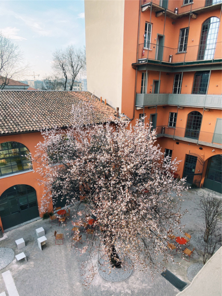 ミラノのホステルCombo（コンボ）の建物と桜